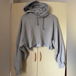 TNA ARITZIA COZY FLEECE BOYFRIEND CROPPED HOODIE